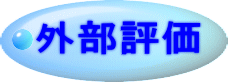 外部評価 