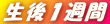 PT