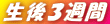 RT