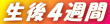 ST