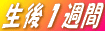 PT