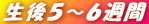 T`UT