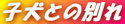 qƂ̕ʂ