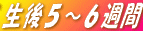 T`UT